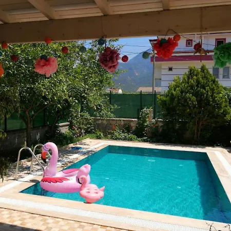 Asu Fethiye
